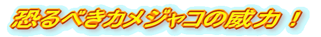 ׂJWR̈З́I